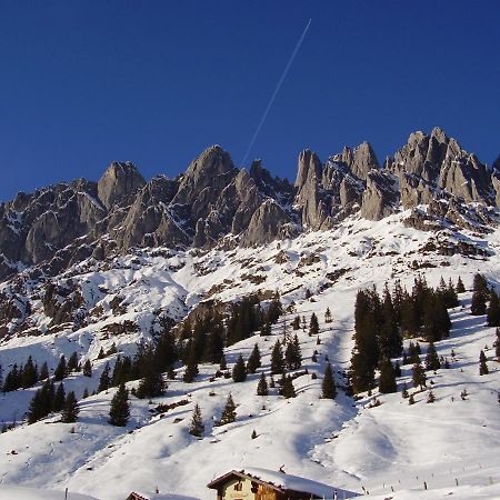 Appartementhaus Hochkoenig 1- Birgkar Mühlbach am Hochkönig 外观 照片